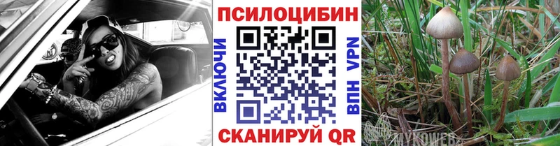 Псилоцибиновые грибы GOLDEN TEACHER  купить наркотики цена  Пугачёв 